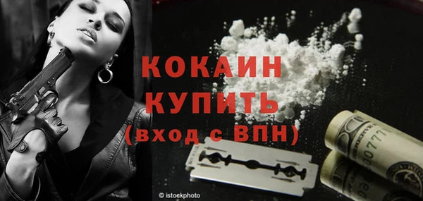 МДПВ Горняк